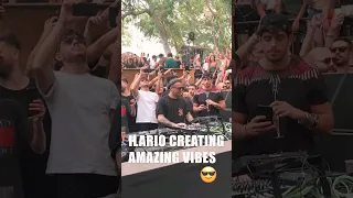 Ilario creating the vibes at Clorophilla festival 😎