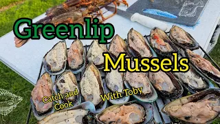 Greenlip Mussels [Catch and Cook ]