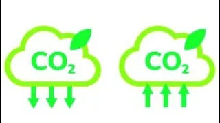 Carbon Neutrality | CO2 Emission | Sustainability | Climate Change | Hindi | Engineers View