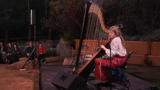 A Musical Performance by Mary Lattimore from For The Birds: The Birdsong Project