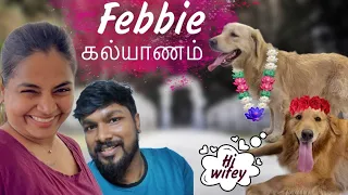 FINALLY FEBBIE GOT HIS WIFE 🤩 Wedding over 🙈❤️‍🔥 | @ramwithjaanu