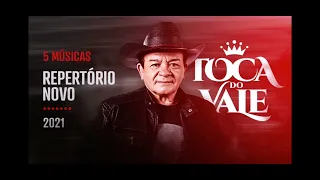 Alvejante - Toca Do Vale