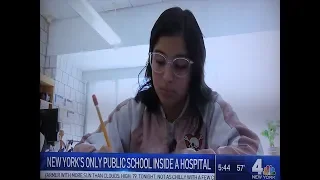 Mt. Pleasant-Blythedale School, NY's Only Public School Inside A Hospital