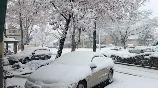 Carson City - early morning snow - December 14, 2021