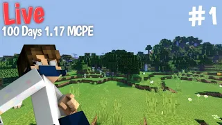 [Live] 100 Days 1.17 MCPE #1