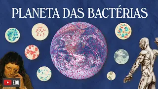 Explorando o Universo Microscópico: Descubra o Fascinante Mundo das Bactérias!