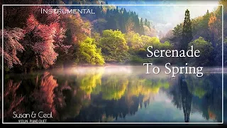 [1Hour] Serenade To Spring (Rolf Løvland) 春のセレナーデ POP Piano/Violin Cover - Extended