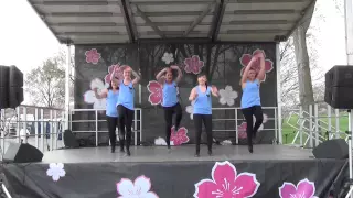 I'm Yours- Tappin' Jacks at the National Cherry Blossom Festival 2015