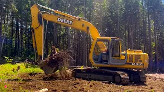 Removing 200 STUMPS with an excavator