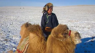 Mongols of the Gobi Desert