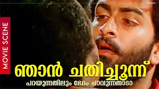 "ഞാൻ ചതിച്ചൂന്ന് പറയുന്നതിലും ഭേദം ചാവുന്നതാടാ!" | Prithviraj | Binoy | Meera Jasmine | Vijeesh