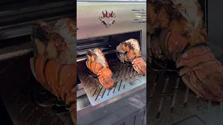 What happens when you cook LOBSTER at 1500°F?? 🦞 #schwankgrills #grilling #bbq