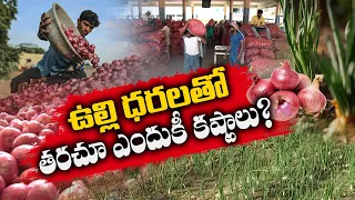 Instability in Onion Price |  How Many Years will It Continue || Idi Sangathi