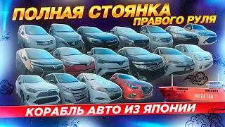 Корабль авто из Японии. Полная стоянка правого руля. Владивосток 2023.