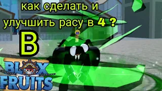 КАК СДЕЛАТЬ И УЛУЧШИТЬ РАСУ В 4  В BLOX FRUTS ТУТОРИАЛ