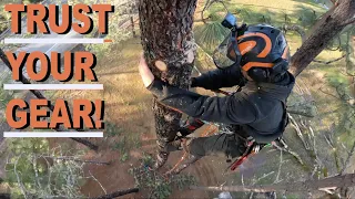 FIRST TIME on tree CLIMBING SPURS