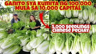 Ito Gawin mo Para Kumita ng Malaki sa Chinese Pechay Farming