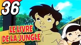 LE LIVRE DE LA JUNGLE | Partie 36 | Épisode Complet | Français | Jungle Book