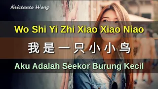 Wo Shi Yi Zhi Xiao Xiao Niao 我是一隻小小鳥 - Lei Ting 雷婷 (Aku Adalah Seekor Burung Kecil)