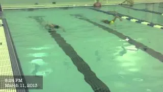 Cynthia -  Spring 2013 Total Immersion Masters Level 1 Progression Video