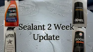 4 Way Sealant (REAL)Update: / Sonax/ Lone Star/ Xpel/GlassParency/ Auto Detailing