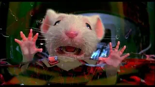 Stuart little stuck in washing machine | Stuart little 1999 movie | Movie clip In hindi