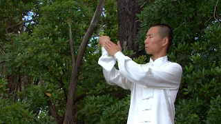 Tai Chi yang débutants - Gestes  et techniques de base