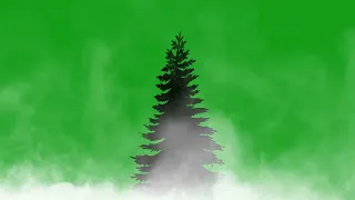 Christmas tree with fogging effect | Green Screen Library