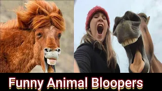 Best Animal News Bloopers Compilation | Funny Animal News Bloopers || Best Animal News Bloopers 2020