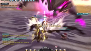 Guardian Nest Crusader solo 1st boss - DNSEA