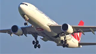 20 MIN of Awesome Amsterdam Airport Schiphol Plane Spotting | B747, B777, B787, A330, A220 etc