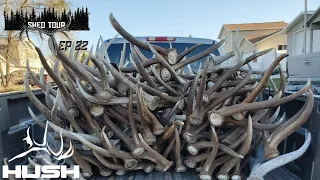 SHED TOUR | THE MOST ANTLERS WE'VE EVER FOUND! | S3E22