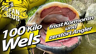 100 KILO Wels frisst KORMORAN und zerstört ANGLER | Angeln auf BIEGEN und BRECHEN