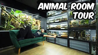 8 Years Later...Complete Animal Room Tour