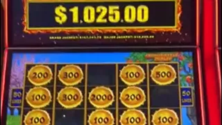 Live Dragon Link Slot Play $600 Ammo