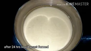 how to make yeast at home in tamil | வீட்டிலேயே ஈஸ்ட் செய்யலாம்