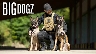 I Trained My Dogs To A Military Standard | BIG DOGZ