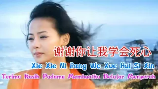 谢谢你让我学会死心 - Xie Xie Ni Rang Wo Xue Hui Si Xin - 任夏 - Ren Xia