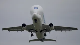 Airbus Beluga Head On Departure From Chester Hawarden Airport #shorts