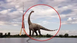 7 DINOSAURIOS CAPTADOS EN CÁMARA Y VISTOS EN LA VIDA REAL (PARTE DOS)