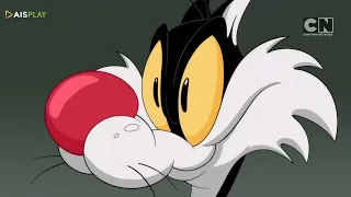 Cartoon Network Asia - Tweety's Birthday Weekend Marathon Promo (November 19 - 20, 2022)