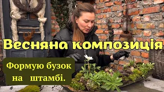 ФОРМУВАННЯ ШТАМБА І ВЕСНЯНА КОМПОЗИЦІЯ 🌱 #сад #садок #садівництво #декор