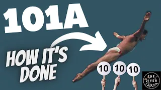 How To Do A Front Dive Straight | 101A