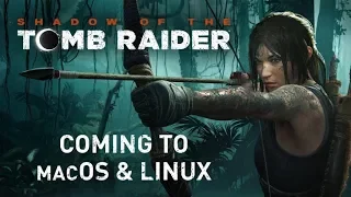 Игра Shadow of the Tomb Raider выйдет на macOS и Linux!