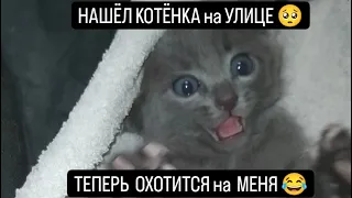 НАШЁЛ КОТЁНКА на УЛИЦЕ 🥺 ТЕПЕРЬ ОНА ОХОТИТСЯ на МЕНЯ 😂😂