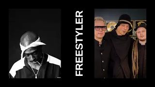 Bomfunk MC's & 2Pac - Freestyler (remix)