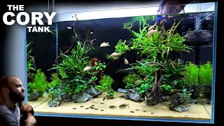 The Cory Tank: EPIC 3ft Aquascape Tutorial