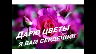 Добрый день!🌷😘 Эти Розы для Тебя! Пожелание доброго дня. Красивая  Музыкальная открытка