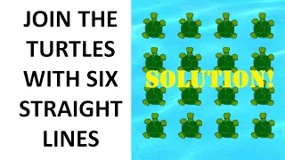 How to Connect 16 Turtles with Six Straight Lines SOLUTION!