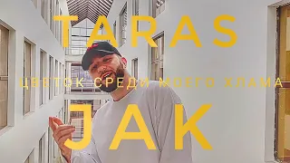 TARAS - ЦВЕТОК СРЕДИ МОЕГО ХЛАМА (Jak Remix)